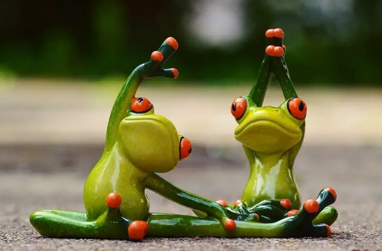 frogs cute